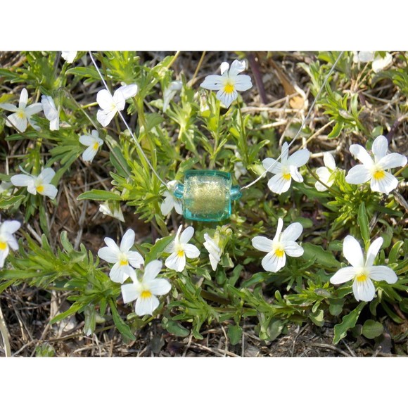 Kelsie - Picture 2 of 5